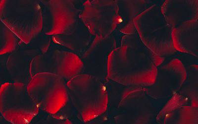 Love Is in the Air – But What About in the Workplace?